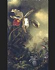White Canvas Paintings - White Orchid and Hummingbird